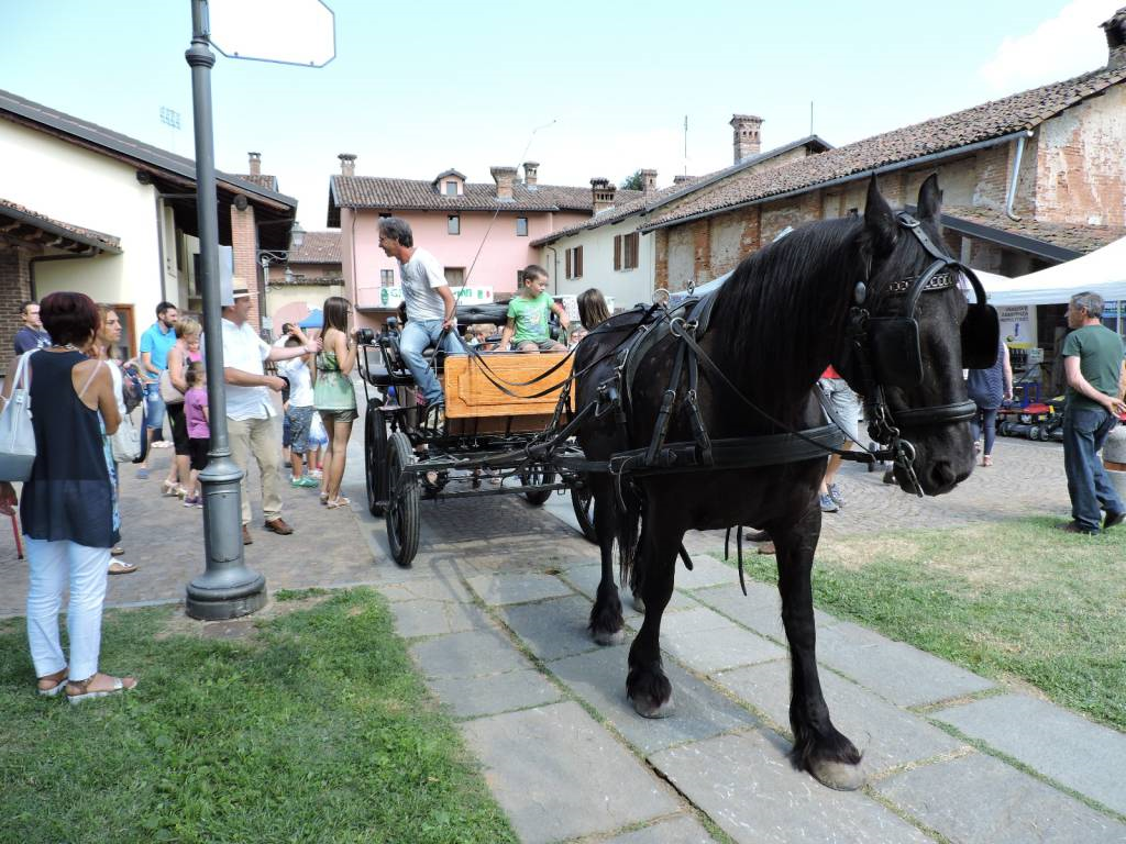 La Sagra del Coniglio

