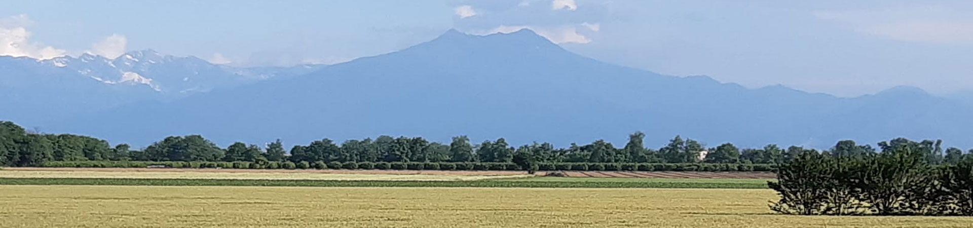 Tarantasca